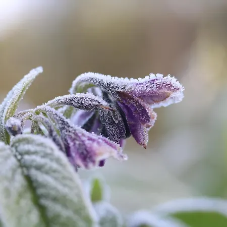 Tatil Evi Quinta Da Estrela *