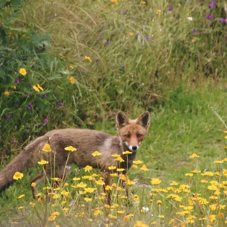 Quinta Da Estrela Ponte Nova