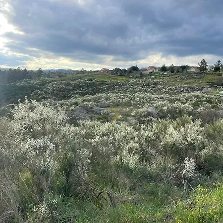 Quinta Da Estrela Ponte Nova