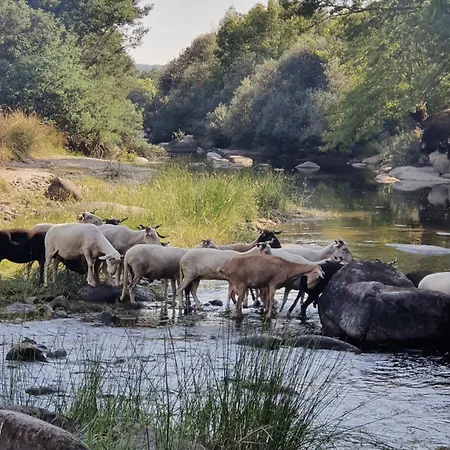 Tatil Evi Quinta Da Estrela