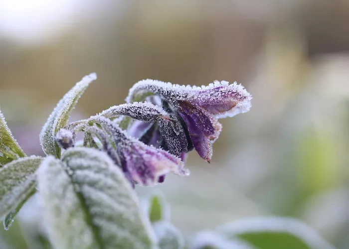 Ferienhaus Quinta Da Estrela *