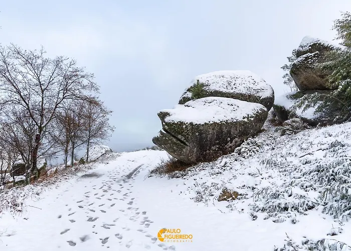 Prázdninový dům Quinta Da Estrela