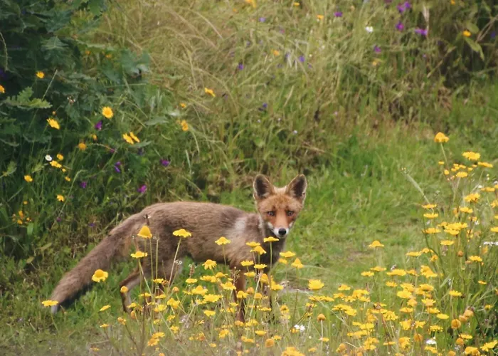 Quinta Da Estrela Ponte Nova