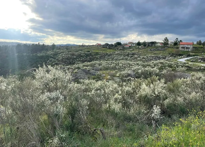 Quinta Da Estrela Ponte Nova