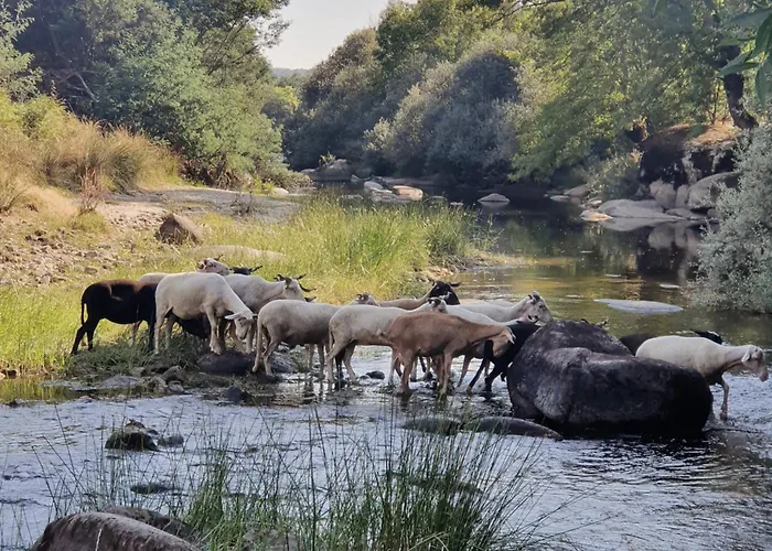 Ferienhaus Quinta Da Estrela